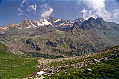 Val Malenco - Il Monte Disgrazia dal versante settentrionale della Val Torreggio. 